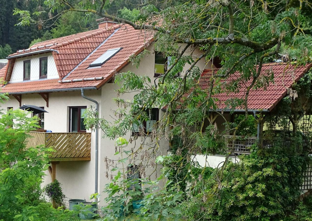 Ferienwohnung Am Berggrabenweg Ilmenau Dış mekan fotoğraf