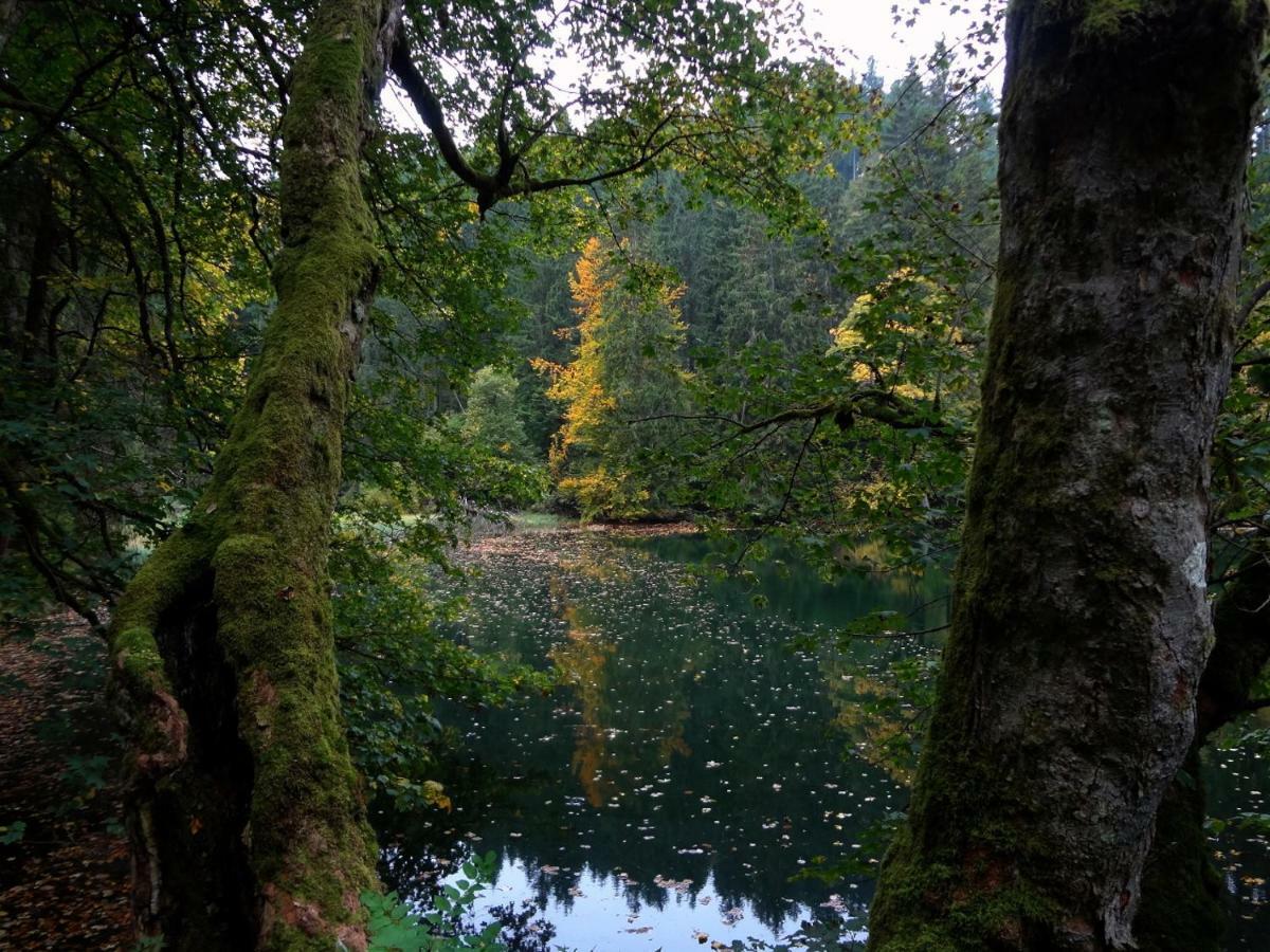 Ferienwohnung Am Berggrabenweg Ilmenau Dış mekan fotoğraf